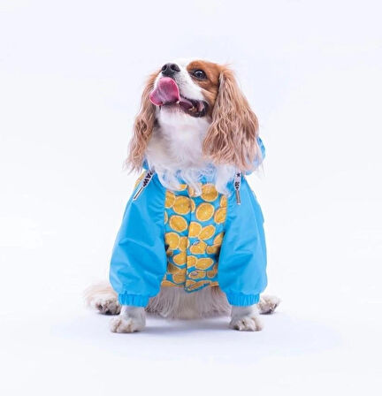 Pawstar Nice Citrus Polarlı Su Geçirmez Küçük Irk Köpek Yağmurluğu