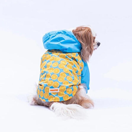Pawstar Nice Citrus Polarlı Su Geçirmez Küçük Irk Köpek Yağmurluğu