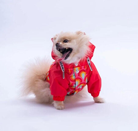 Pawstar Lisbon Sunset Polarlı Su Geçirmez Küçük Irk Köpek Yağmurluğu