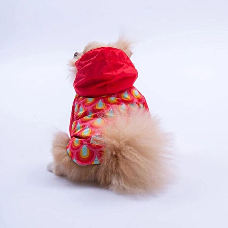 Pawstar Lisbon Sunset Polarlı Su Geçirmez Küçük Irk Köpek Yağmurluğu