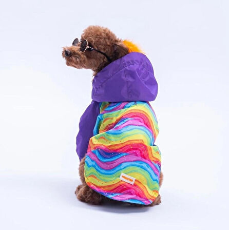 Pawstar Rio Rainbow Polarlı Su Geçirmez Küçük Irk Köpek Yağmurluğu