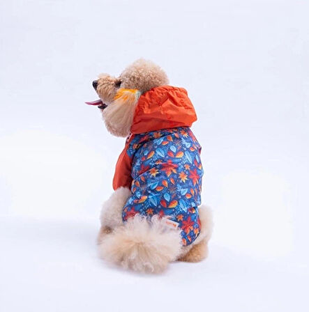 Pawstar Amsterdam Fall Polarlı Su Geçirmez Küçük Irk Köpek Yağmurluğu