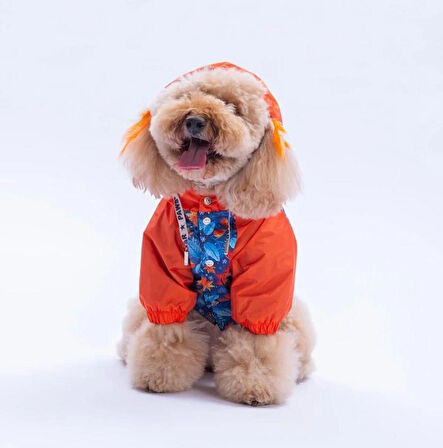 Pawstar Amsterdam Fall Polarlı Su Geçirmez Küçük Irk Köpek Yağmurluğu