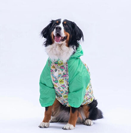 Pawstar Denver Dino Polarlı Su Geçirmez Orta-Büyük Irk Köpek Yağmurluğu