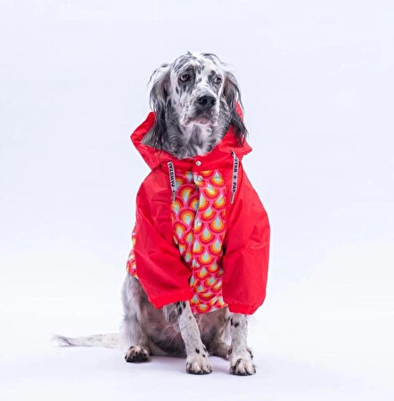 Pawstar Lisbon Sunset Polarlı Su Geçirmez Orta-Büyük Irk Köpek Yağmurluğu