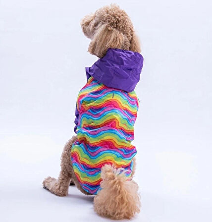 Pawstar Rio Rainbow Polarlı Su Geçirmez Orta-Büyük Irk Köpek Yağmurluğu