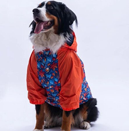 Pawstar Amsterdam Fall Polarlı Su Geçirmez Orta-Büyük Irk Köpek Yağmurluğu