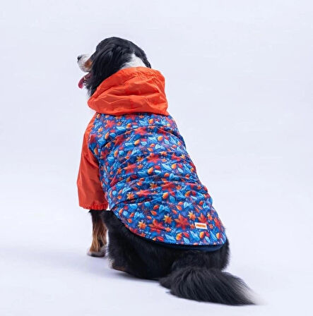 Pawstar Amsterdam Fall Polarlı Su Geçirmez Orta-Büyük Irk Köpek Yağmurluğu