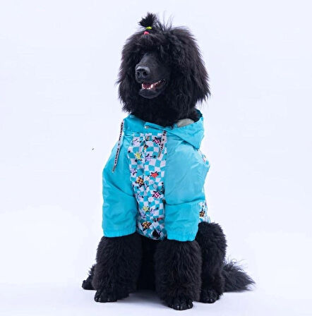 Pawstar Barcelona Nights Polarlı Su Geçirmez Orta-Büyük Irk Köpek Yağmurluğu