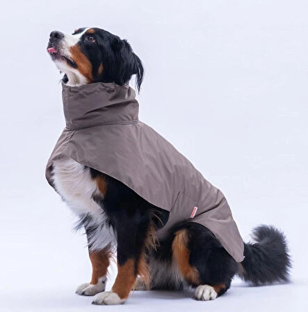 Pawstar Kahverengi Colombia Prime Su Geçirmez Orta-Büyük Irk Köpek Pratik Yağmurluk