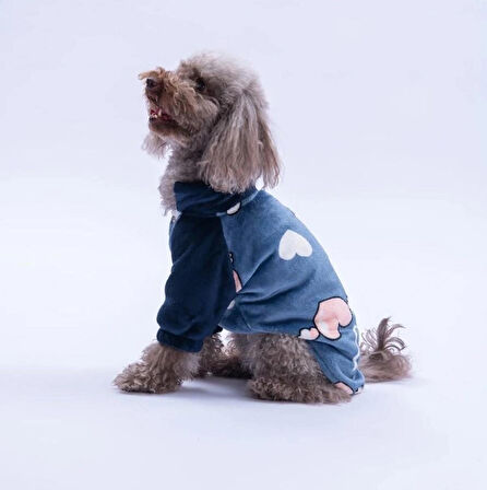 Pawstar Mavi Verona Kiss Küçük Irk Köpek Polar Ceket