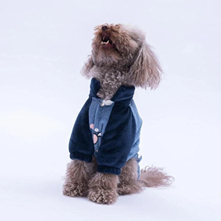 Pawstar Mavi Verona Kiss Küçük Irk Köpek Polar Ceket