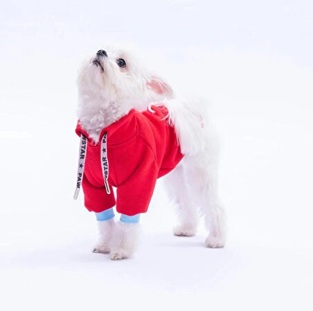 Pawstar Kırmızı Seattle Storm Polarlı Küçük Irk Köpek Sweatshirtü