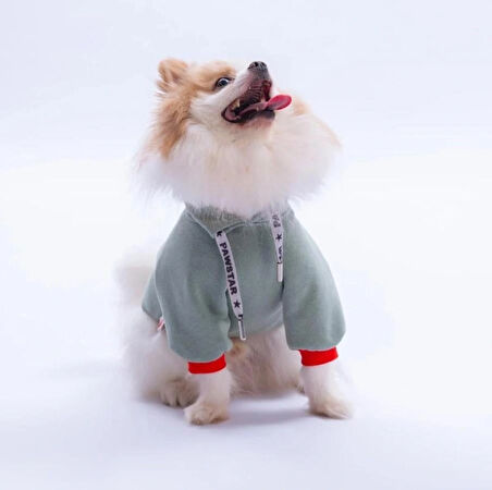 Pawstar Yeşil Seattle Storm Polarlı Küçük Irk Köpek Sweatshirtü