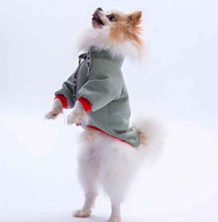 Pawstar Yeşil Seattle Storm Polarlı Küçük Irk Köpek Sweatshirtü