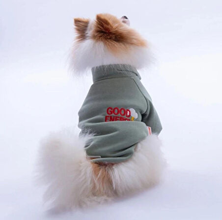 Pawstar Yeşil Seattle Storm Polarlı Küçük Irk Köpek Sweatshirtü