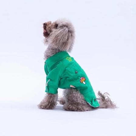 PawStar 25212-Yeşil Cancun Pop Küçük Irk Köpek Ceketi