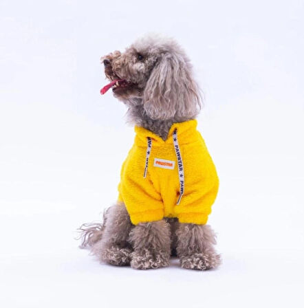 Pawstar Sarı Porto Cozy Küçük Irk Köpek Pofuduk Sweatshirt