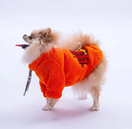 Pawstar Turuncu Doha Go! Küçük Irk Köpek Pofuduk Sweatshirt