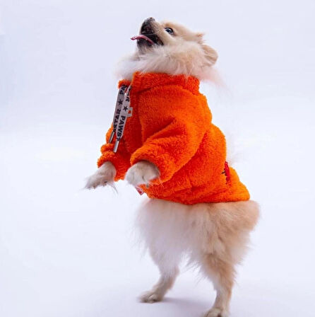 Pawstar Turuncu Doha Go! Küçük Irk Köpek Pofuduk Sweatshirt