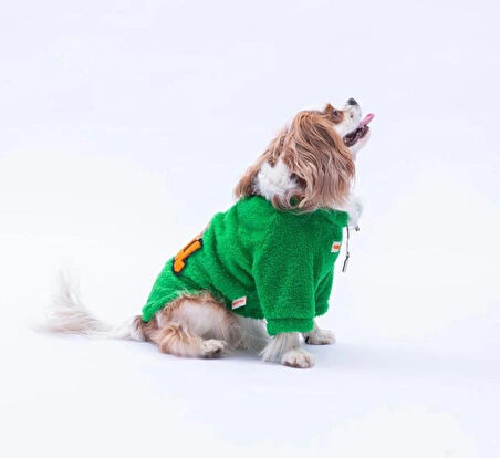 Pawstar Yeşil Oslo Chill Küçük Irk Köpek Pofuduk Sweatshirt