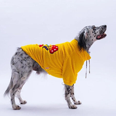 Pawstar Sarı Porto Cozy Orta-Büyük Irk Köpek Pofuduk Sweatshirt