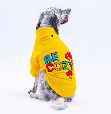 Pawstar Sarı Porto Cozy Orta-Büyük Irk Köpek Pofuduk Sweatshirt