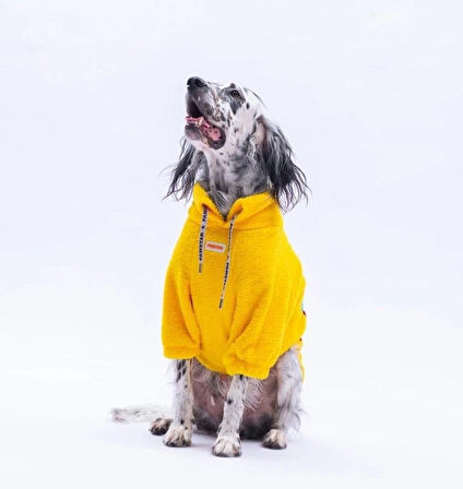 Pawstar Sarı Porto Cozy Orta-Büyük Irk Köpek Pofuduk Sweatshirt