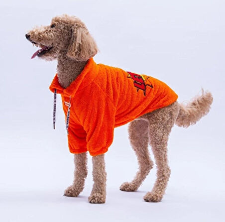 Pawstar Turuncu Doha Go! Orta-Büyük Irk Köpek Pofuduk Sweatshirt