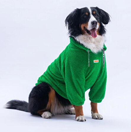 Pawstar Yeşil Oslo Chill Orta-Büyük Irk Köpek Pofuduk Sweatshirt
