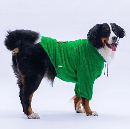 Pawstar Yeşil Oslo Chill Orta-Büyük Irk Köpek Pofuduk Sweatshirt
