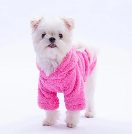 Pawstar Pembe Lucca Teddy Küçük Irk Köpek Pofuduk Hoodie Sweatshirt