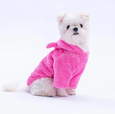 Pawstar Pembe Lucca Teddy Küçük Irk Köpek Pofuduk Hoodie Sweatshirt