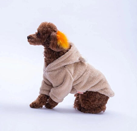 Pawstar Bej LuccaTeddy Küçük Irk Köpek Pofuduk Hoodie Sweatshirt