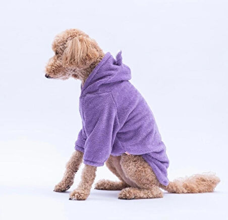 Pawstar Lila LuccaTeddy Orta-Büyük Irk Köpek Pofuduk Hoodie Sweatshirt