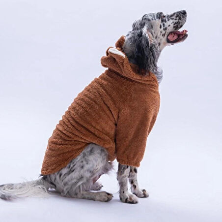 Pawstar Kahverengi LuccaTeddy Orta-Büyük Irk Köpek Pofuduk Hoodie Sweatshirt