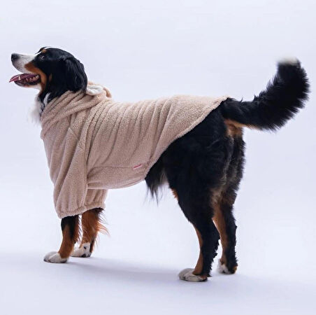 Pawstar Bej LuccaTeddy Orta-Büyük Irk Köpek Pofuduk Hoodie Sweatshirt