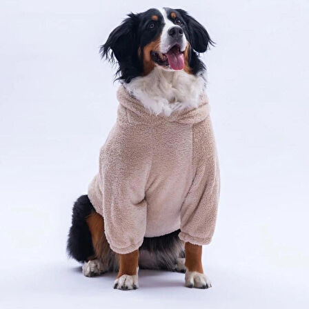 Pawstar Bej LuccaTeddy Orta-Büyük Irk Köpek Pofuduk Hoodie Sweatshirt