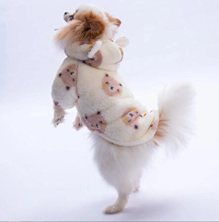 Pawstar Kahverengi Sapporo Bear Küçük Irk Köpek Pofuduk Hoodie Sweatshirt