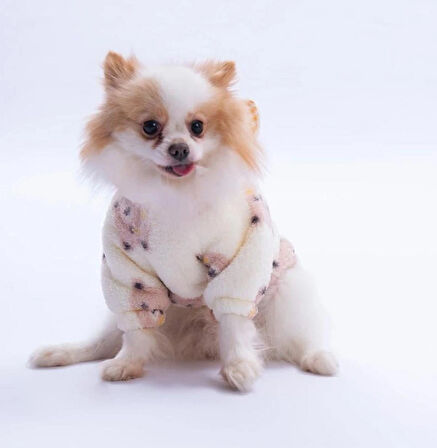 Pawstar Kahverengi Sapporo Bear Küçük Irk Köpek Pofuduk Hoodie Sweatshirt