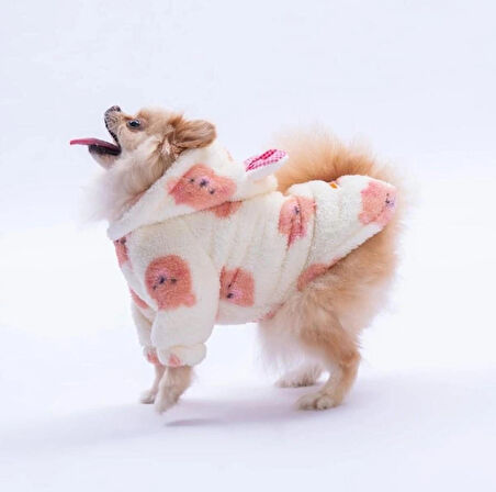 Pawstar Somon Sapporo Bear Küçük Irk Köpek Pofuduk Hoodie Sweatshirt