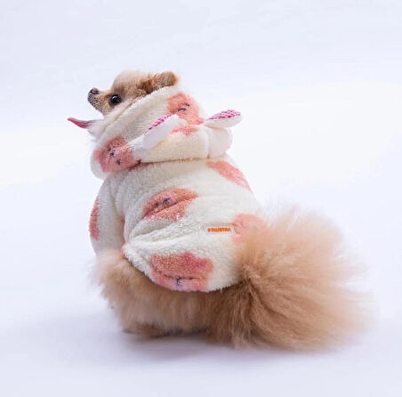 Pawstar Somon Sapporo Bear Küçük Irk Köpek Pofuduk Hoodie Sweatshirt