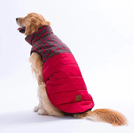 Pawstar Kırmızı Elgin Paws Su İtici Orta-Büyük Irk Köpek Puf Yelek Yağmurluk
