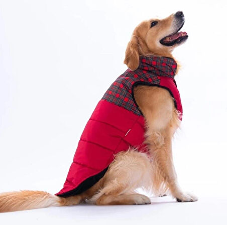 Pawstar Kırmızı Elgin Paws Su İtici Orta-Büyük Irk Köpek Puf Yelek Yağmurluk