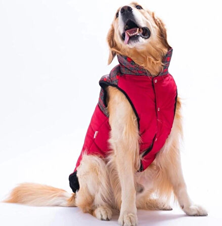 Pawstar Kırmızı Elgin Paws Su İtici Orta-Büyük Irk Köpek Puf Yelek Yağmurluk