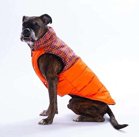 Pawstar Turuncu Elgin Paws Su İtici Orta-Büyük Irk Köpek Puf Yelek Yağmurluk