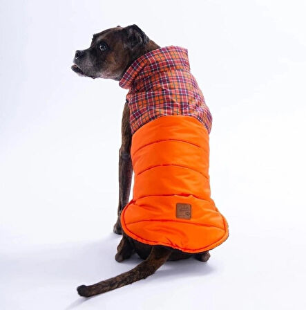 Pawstar Turuncu Elgin Paws Su İtici Orta-Büyük Irk Köpek Puf Yelek Yağmurluk