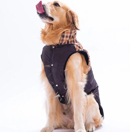 Pawstar Kahverengi Elgin Paws Su İtici Orta-Büyük Irk Köpek Puf Yelek Yağmurluk