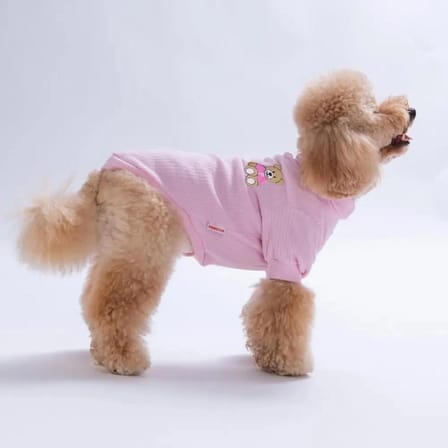 Pawstar Pembe Teddywood Küçük Irk Köpek Sweatshirtü