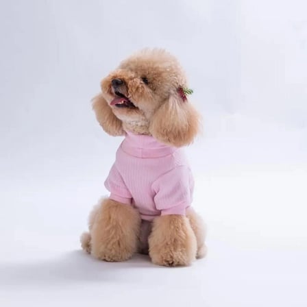 Pawstar Pembe Teddywood Küçük Irk Köpek Sweatshirtü